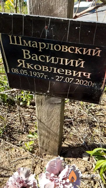 Шмарловский Василий Яковлевич