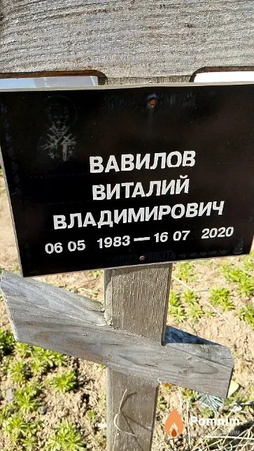 Вавилов Виталий Владимирович