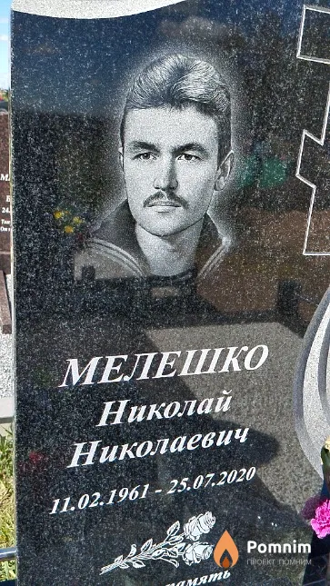 Мелешко Николай Николаевич