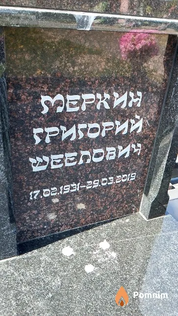 Меркин Григорий Шеелович