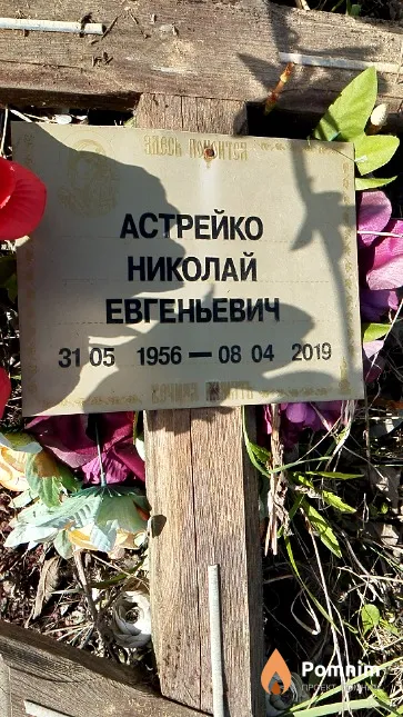 Астрейко Николай Евгеньевич