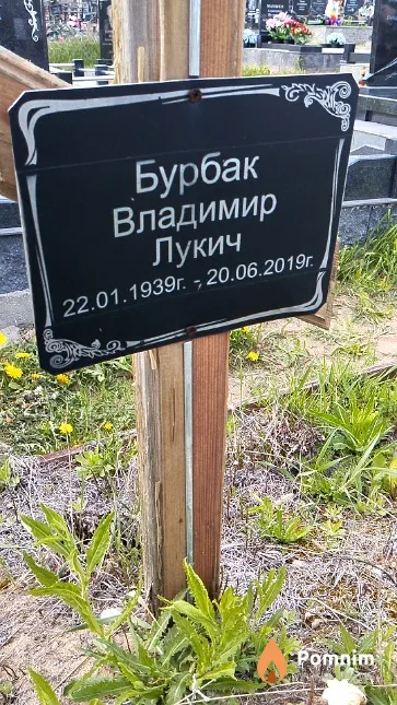 Бурбак Владимир Лукич