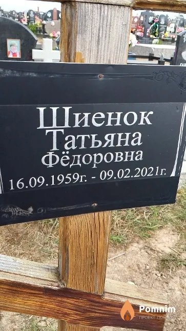 Шиенок Татьяна Фёдоровна