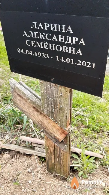 Ларина Александра Семёновна