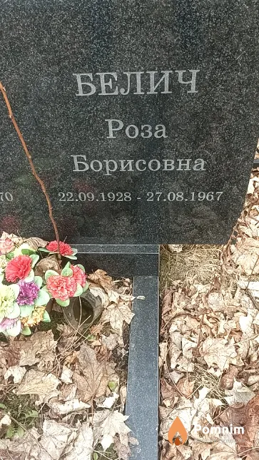 Белич Роза Борисовна