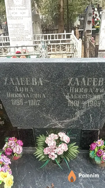 Халеев Николай Алексеевич