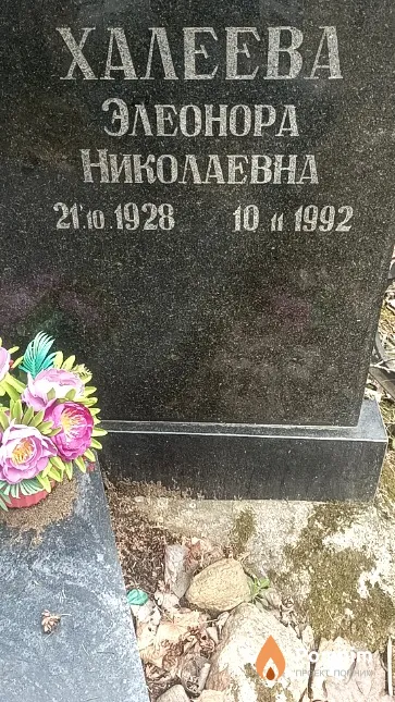Халеева Элеонора Николаевна