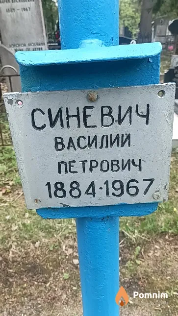 Синевич Василий Петрович