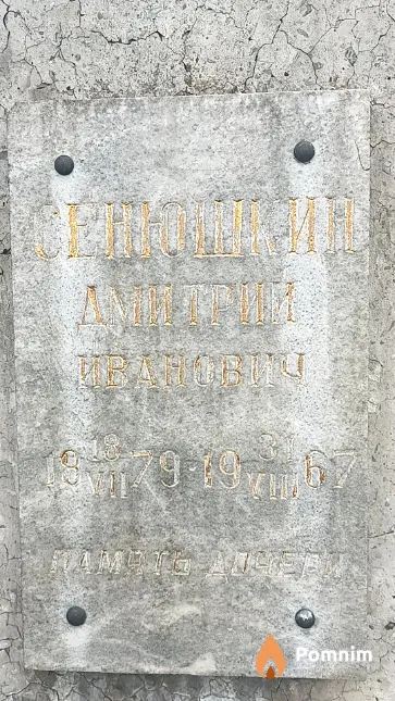 Сенюшкин Дмитрий Иванович
