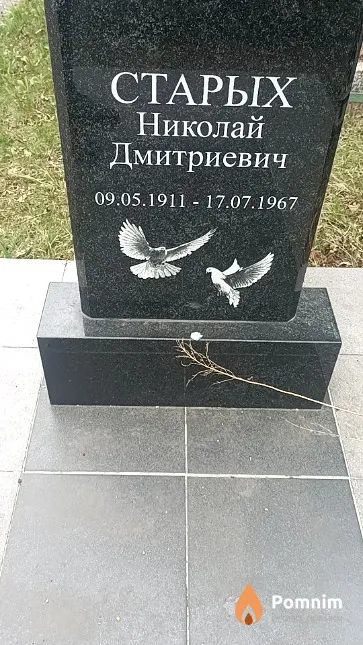 Старых Николай Дмитриевич