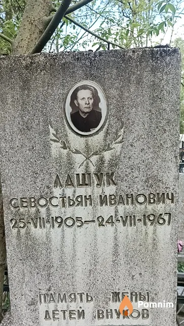 Лашук Анастасия Георгиевна