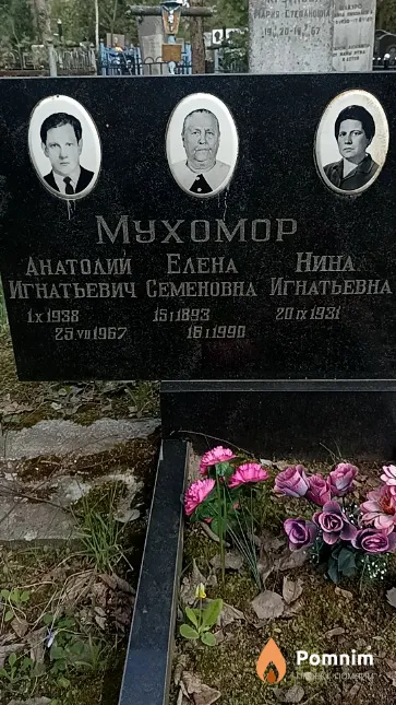 Мухомор Анатолий Игнатьевич