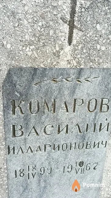 Комаров Василий Илларионович