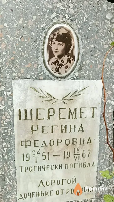 Шеремет Регина Федоровна