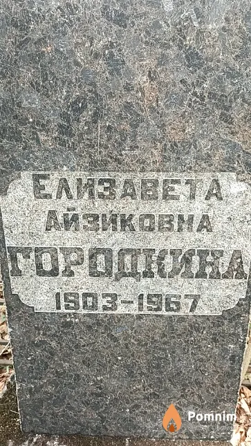 Городкина Елизавета Айзиковна