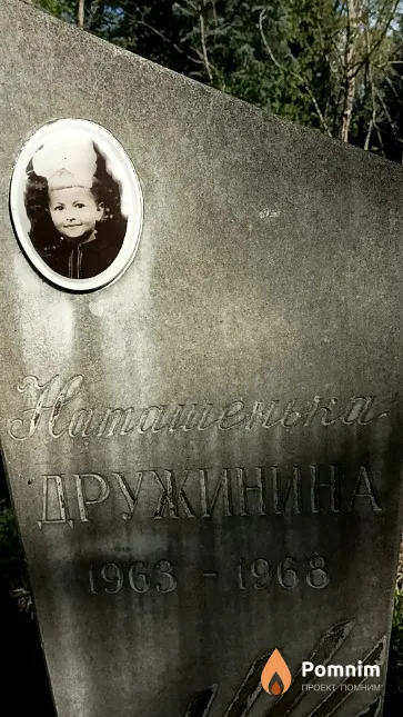 Дружинина Наталья