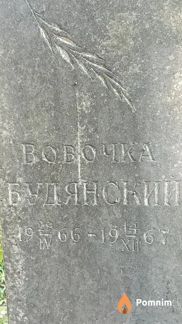 Будянский Владимир
