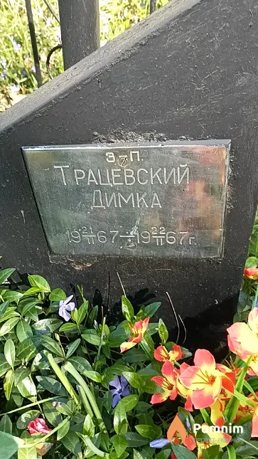 Трацевский Димка