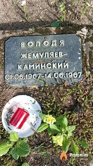 Жемуляев-Каминский Владимир
