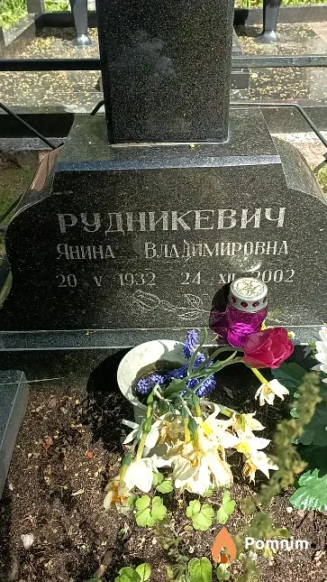 Рудникевич Янина Владимировна