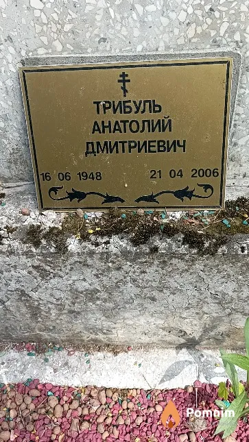 Трибуль Анатолий Дмитриевич