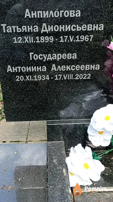 Анпилогова Татьяна Дионисьевна