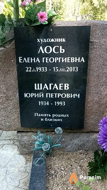 Лось Елена Георгиевна