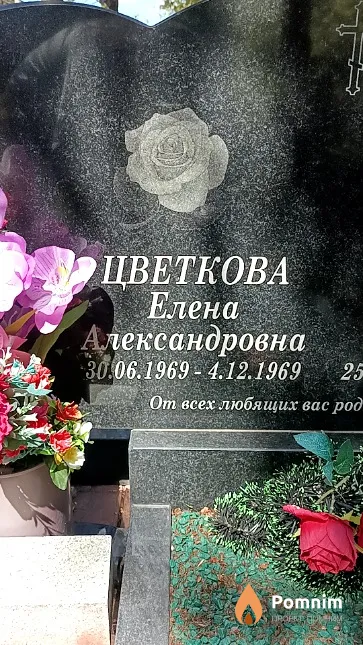 Цветкова Елена Александровна