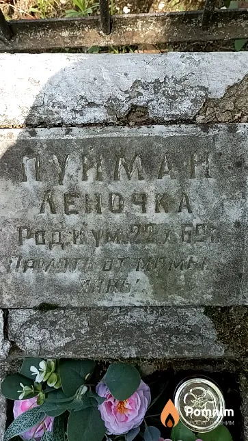 Пуйман Елена