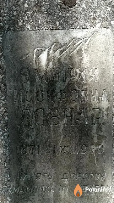 Довнар Эмилия Иосифовна