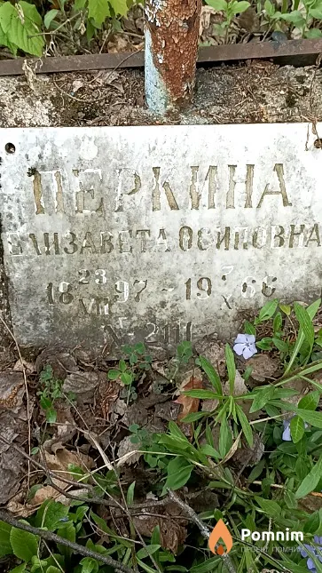 Перкина Елизавета Осиповна