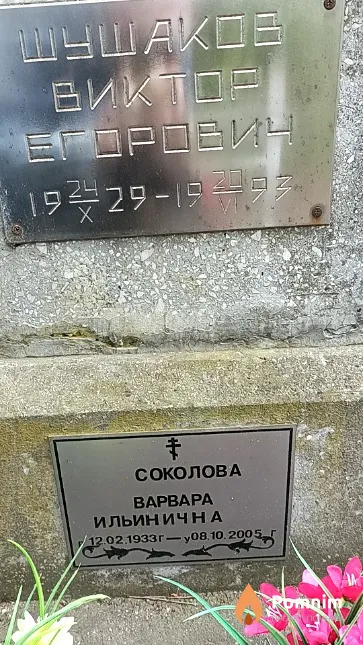 Соколова Варвара Ильинична