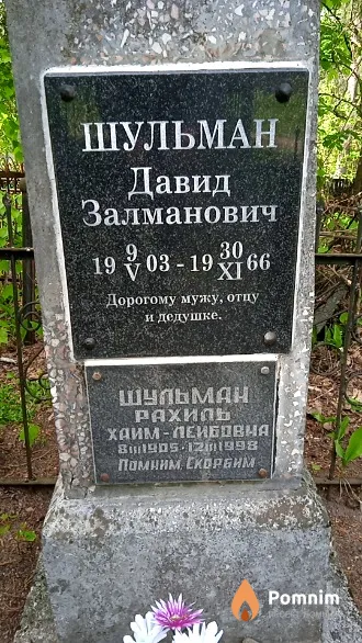 Шульман Давид Залманович