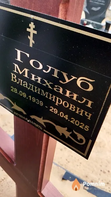 Голуб Михаил Владимирович
