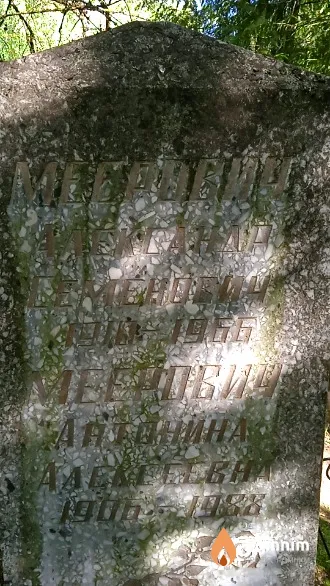 Меерович Антонина Алексеевна