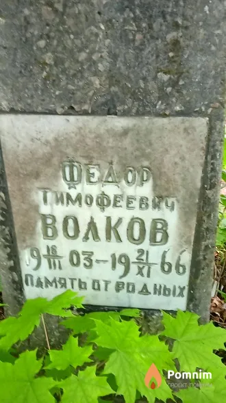 Волков Федор Тимофеевич
