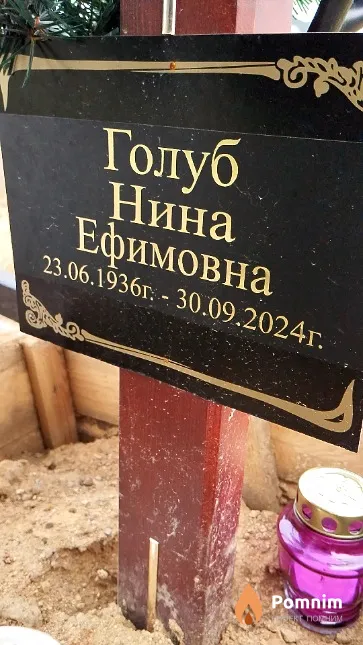 Голуб Нина Ефимовна