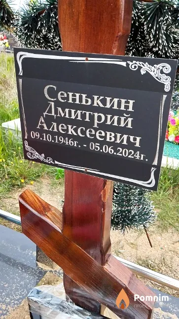 Сенькин Дмитрий Алексеевич