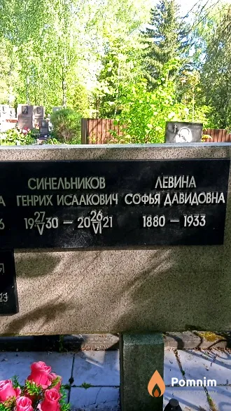 Левина Софья Давидовна