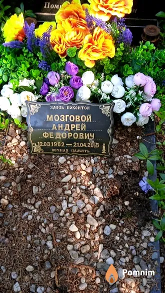 Мозговой Андрей Федорович