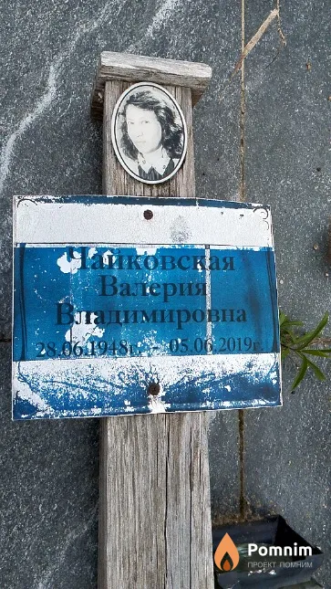 Чайковская Валерия Владимировна