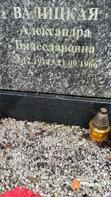 Валицкая Александра Вячеславовна