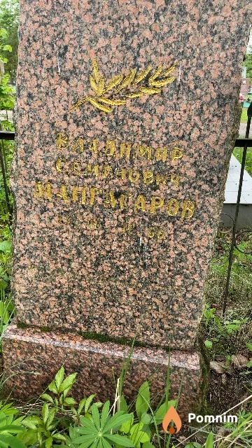 Мангасаров Владимир Семенович