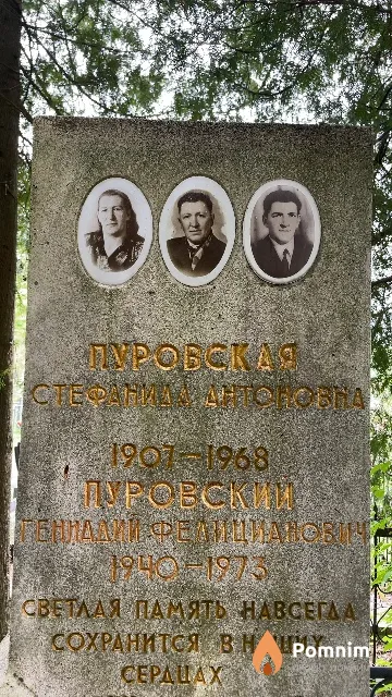 Пуровский Геннадий Фелицианович