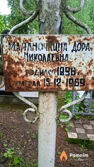 Маланочкина Дора Николаевна