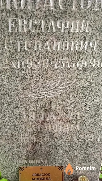 Лобасюк Анджела Павловна