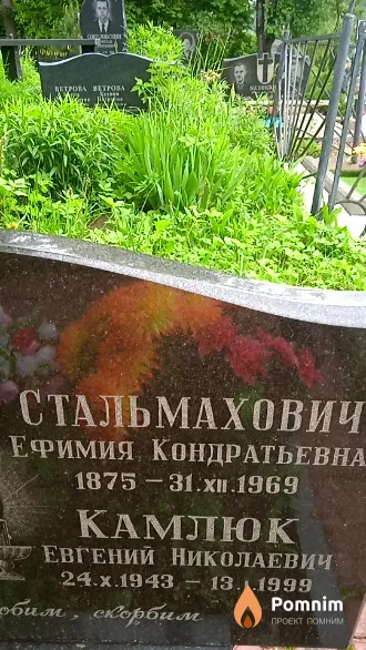 Стальмахович Ефимия Кондратьевна
