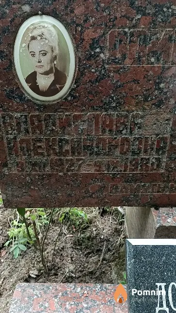 Домбровская Владислава Александровна