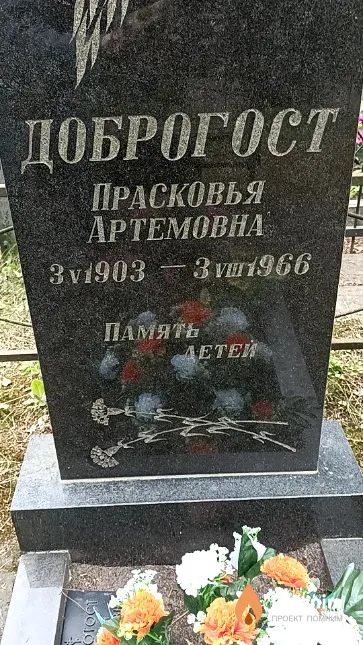 Доброгост Прасковья Артёмовна