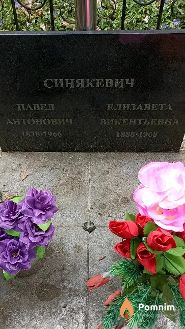 Синякевич Павел Антонович